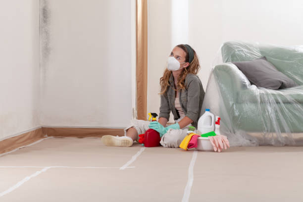 Reliable Attic Mold Removal contractor in Ridgewood, IL by WQB Mold Removal